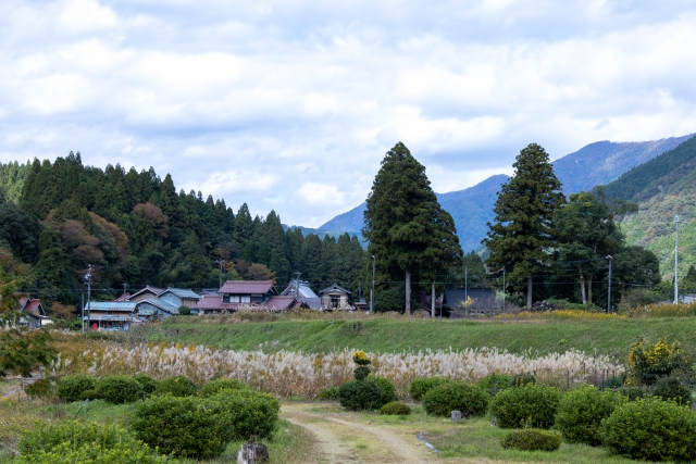 根尾谷断層