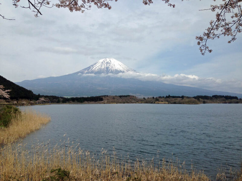 富士山