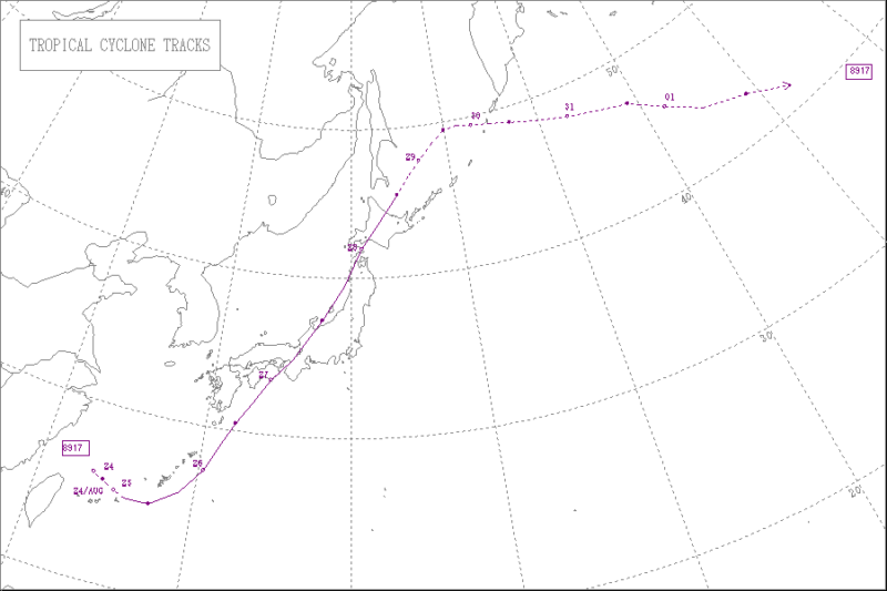 1989年台風第17号