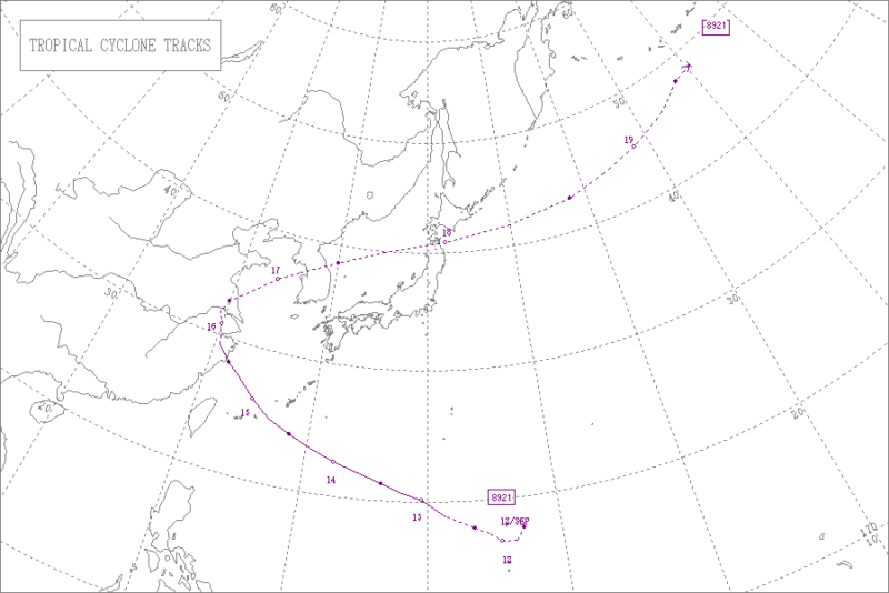 1989年台風第21号