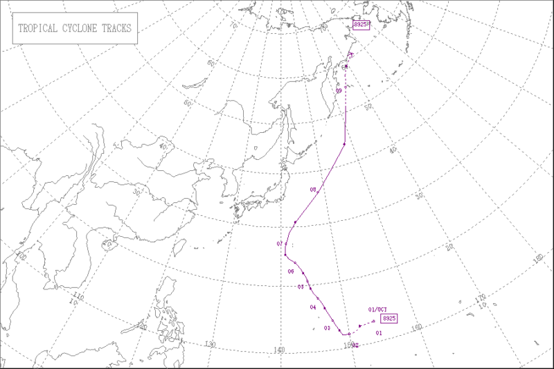 1989年台風第25号