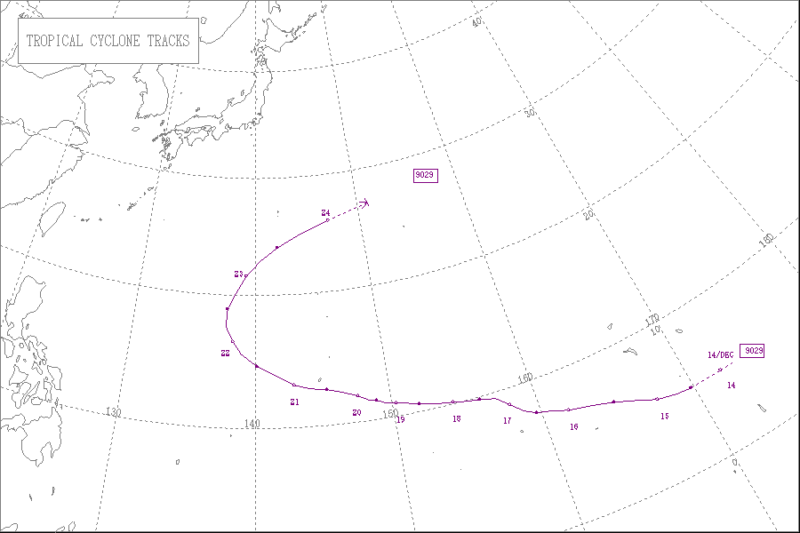 1990年台風第29号