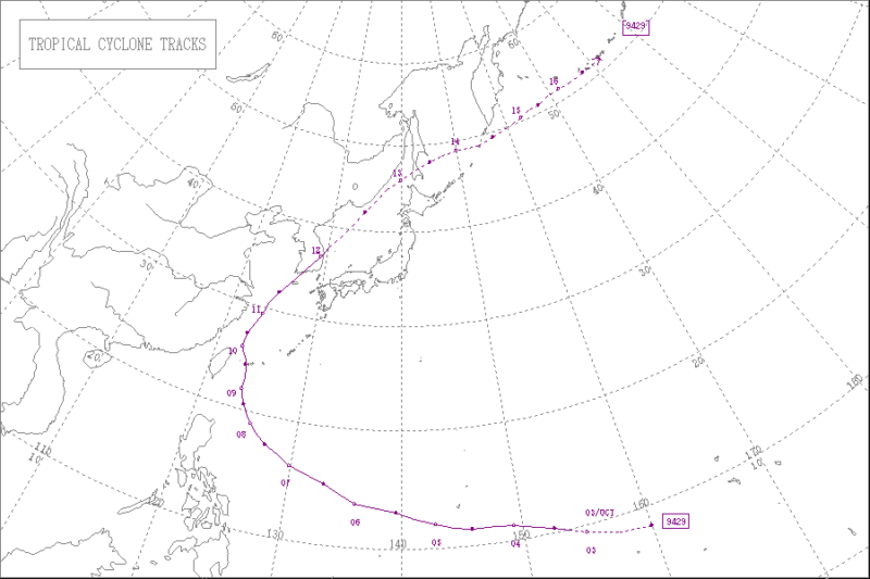 1994年台風第29号